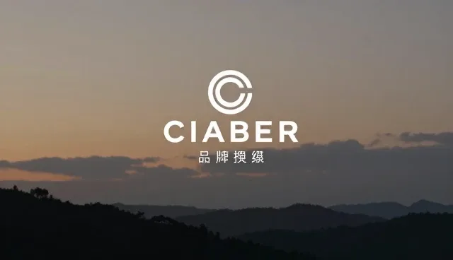 视频剪辑软件性能瓶颈与适用场景分析